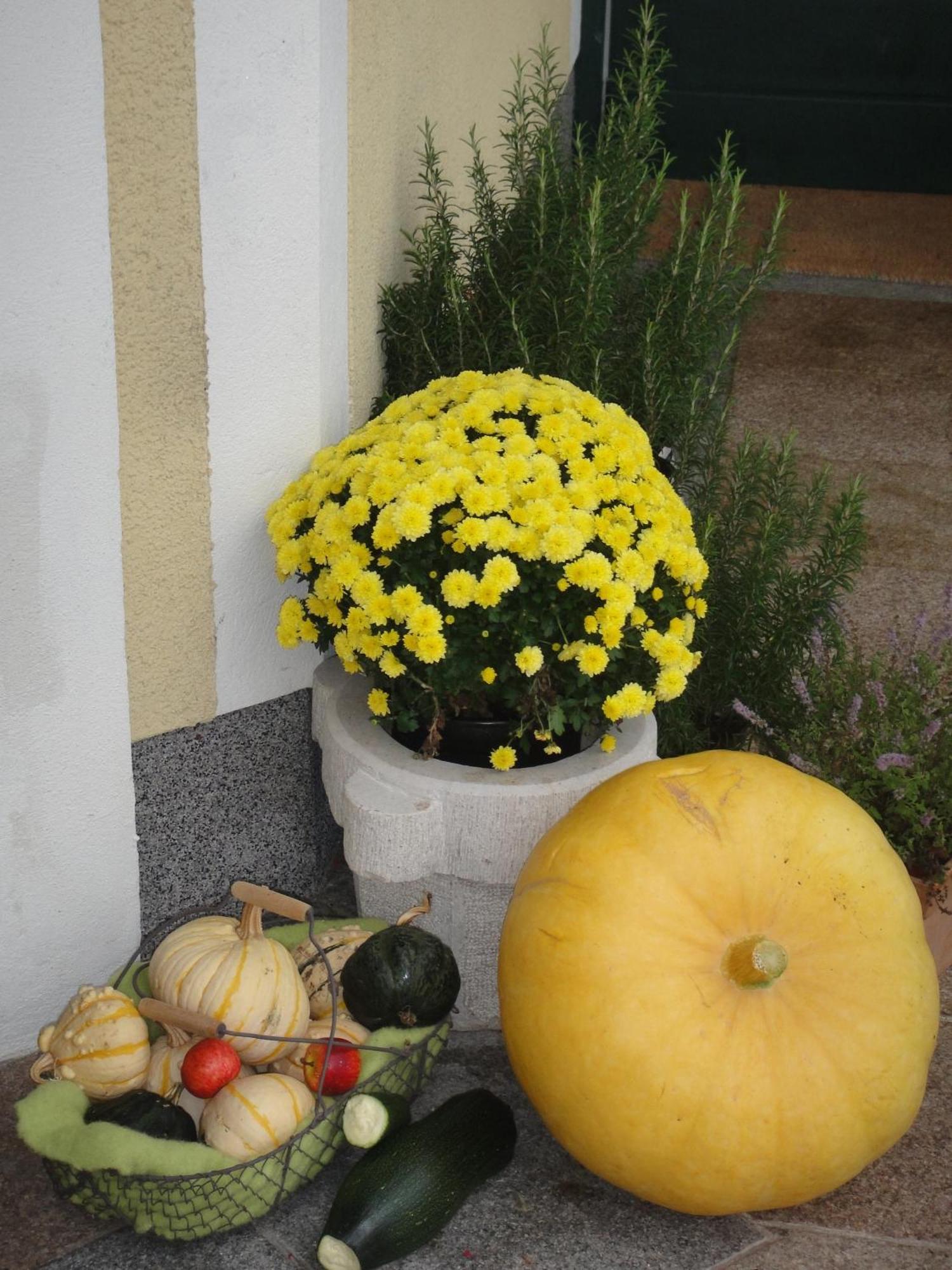 Ferienwohnung Haus Lehen Sankt Koloman Extérieur photo