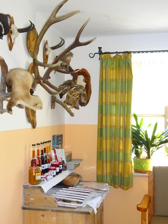 Ferienwohnung Haus Lehen Sankt Koloman Extérieur photo